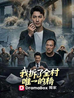 我拆了全村唯一的桥