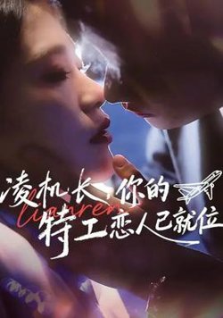 凌机长，你的特工恋人已就位在线观看
