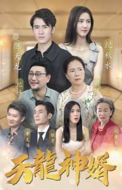天龙神婿高清播放