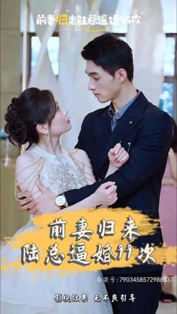 前妻归来陆总逼婚99次在线观看