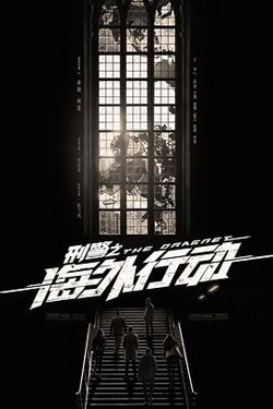 刑警之海外行动在线观看