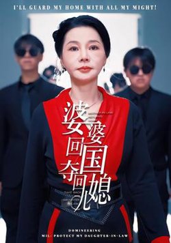 婆婆回国，夺回儿媳高清播放
