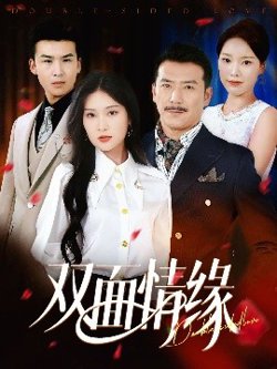 双面情缘高清播放