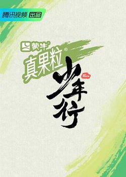 少年行高清播放