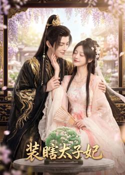 装瞎太子妃在线观看