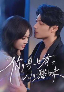 你身上有小猫味高清播放