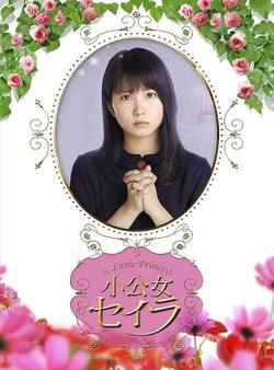 莎拉公主高清播放