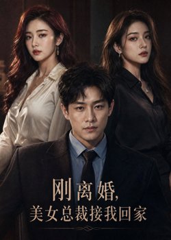 刚离婚，美女总裁接我回家在线观看