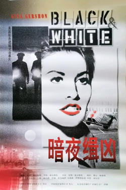 暗夜缉凶高清播放