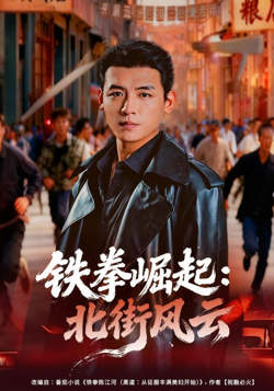 铁拳崛起：北街风云在线观看