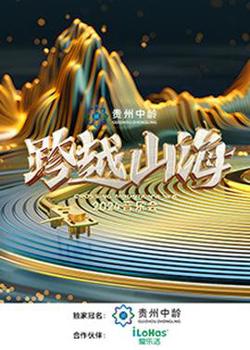 跨越山海2024音乐会高清播放