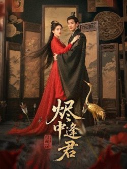 烬中逢君高清播放
