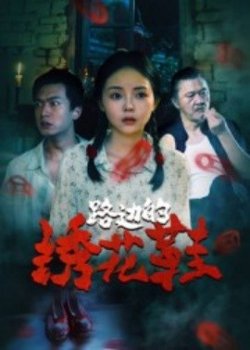 路边的绣花鞋高清播放