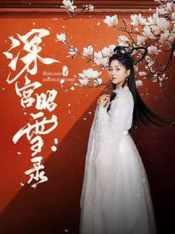 深宫昭雪录高清播放