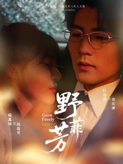 野芳菲高清播放
