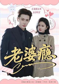 老婆瘾高清播放