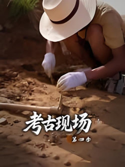 全世界中国味在线观看