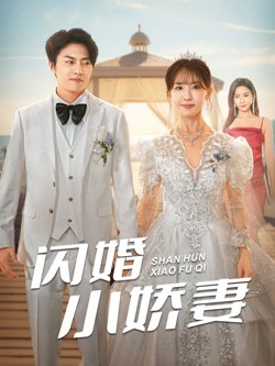 闪婚小娇妻高清播放