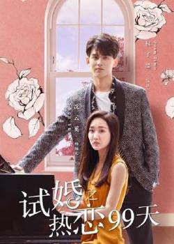 试婚之热恋99天高清播放