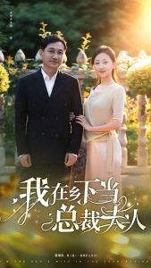 我在乡下当总裁夫人高清播放