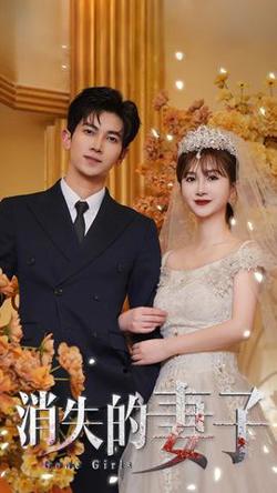 新：消失的妻子高清播放