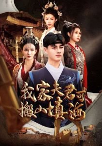 我家夫君可搬山填海高清播放