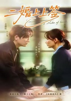 二婚上上签高清播放