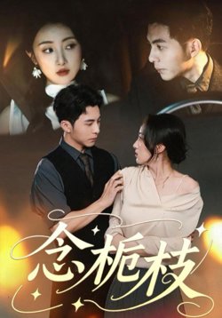 念栀枝高清播放