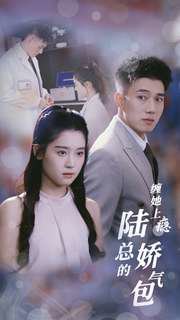 缠她上瘾陆总的娇气包高清播放