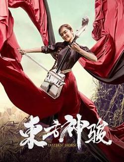 东方神骏高清播放