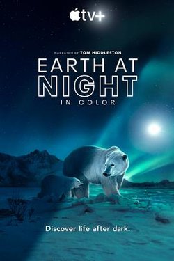 夜色中的地球 第二季在线观看