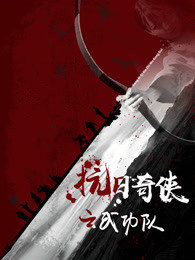 抗日奇侠之武功队高清播放