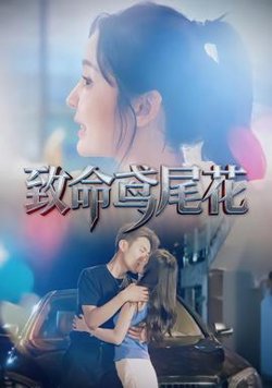 致命鸢尾花