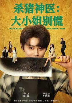 杀猪神医，大小姐别慌高清播放