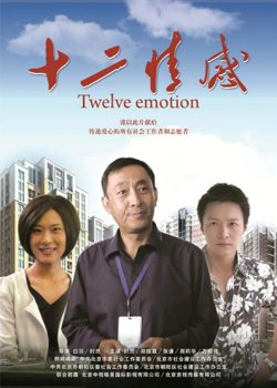 十二情感在线观看