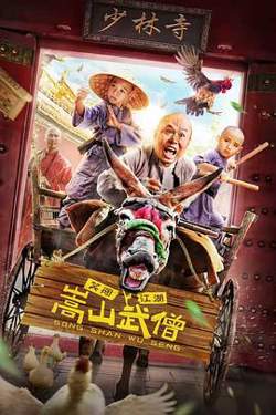 嵩山武僧高清播放