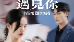 遇见你情深难知错（软萌娇妻总裁大叔太难追）高清播放