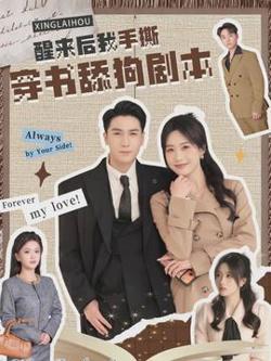 醒来后我手撕穿书舔狗剧本在线观看