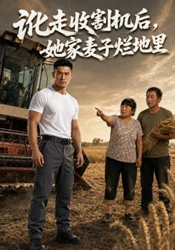 讹走收割机后,她家麦子烂地里