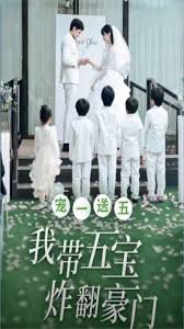 宠一送五,我带五宝炸翻豪门