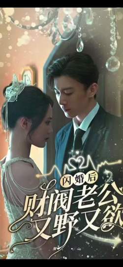 闪婚财阀大佬又野又欲在线观看