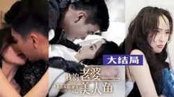 极致体验：我的老婆是美人鱼高清播放