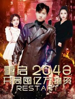 重启2048，开局囤亿万物资在线观看