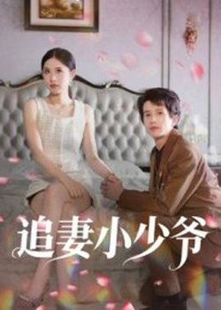 追妻小少爷高清播放