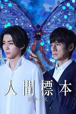 人类标本高清播放