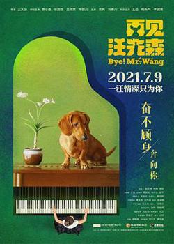 再见汪先森高清播放