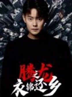 腾龙之衣锦还乡在线观看