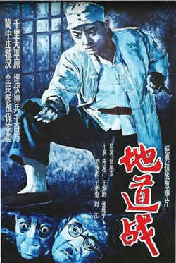 地道战 1965在线观看