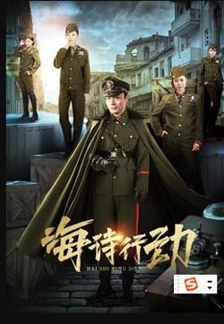 海诗行动高清播放
