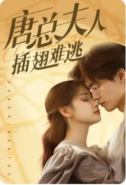 唐总夫人插翅难逃高清播放